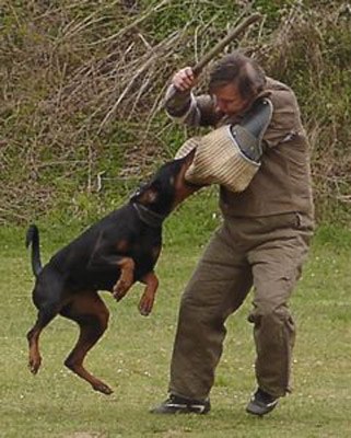 Eika v Klingbach