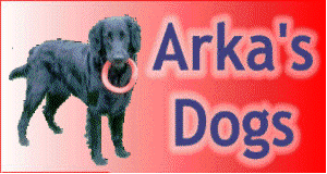 http://www.arkasdogs.com/Netref4/gestion/in.php?url_id=13666 